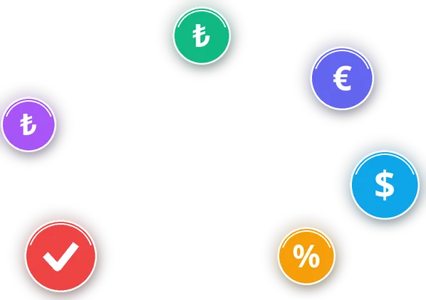 Finnext cari ve kasa özeti